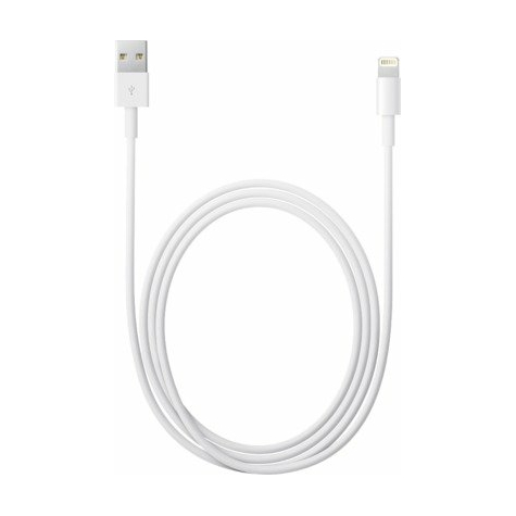 Câble Apple Lightning vers USB (2,0 m) - VRAC -