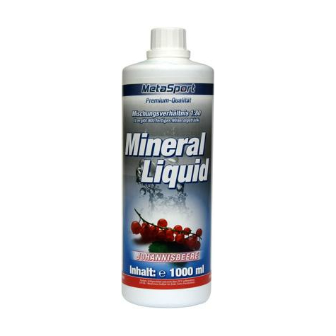 Metasport mineral liquid+l-carnitin+magnesium,1:80, 1000 ml flasche