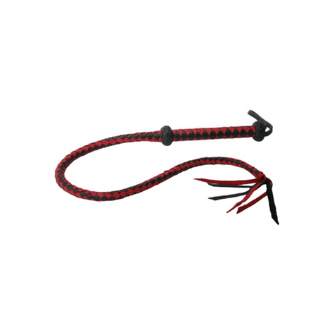 Bâillon gag : premium rouge and noir leather whip