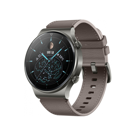 Huawei Watch Gt 2 Pro (46 Mm), Nebula Gray