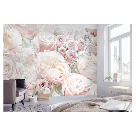 Papier peint photo - spring roses - taille 368 x 254 cm