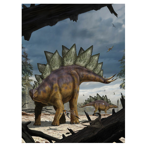 Fleece Fotobehang - Stegosaurus - Afmeting 184 X 248 Cm
