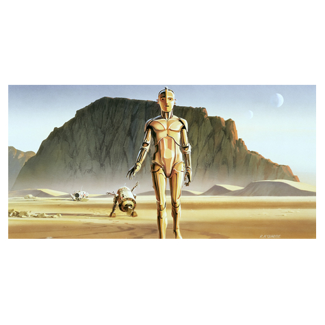 Papier peint photo - star wars classic rmq droids - taille 500 x 250 cm