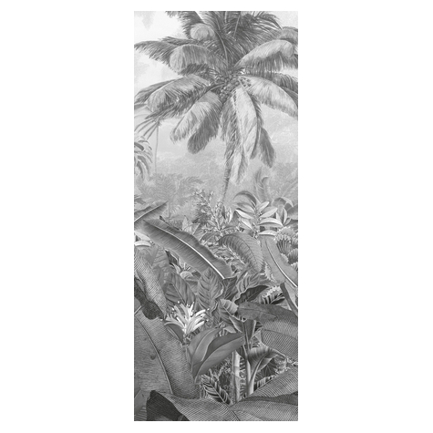 Papier peint photo - amazonia black and white panel - taille 100 x 250 cm