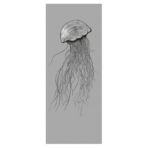 Fleece Fotobehang - Jellyfish Panel - Afmeting 100 X 250 Cm