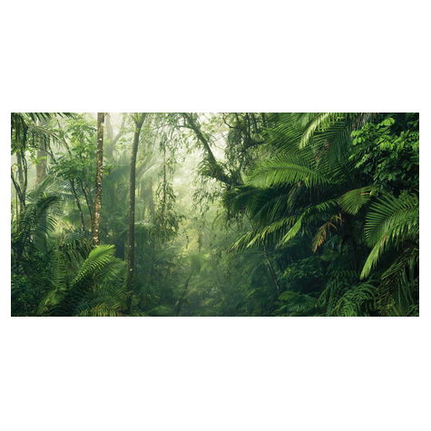 Fleece Fotobehang - Tropical Worlds - Afmeting 500 X 250 Cm