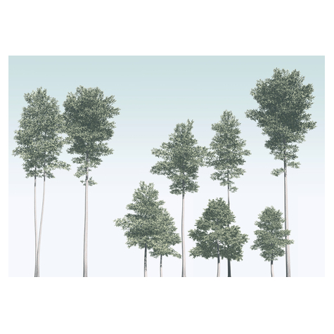 Papier peint photo - pines - dimensions 400 x 280 cm