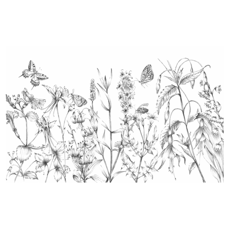 Papier peint photo - butterfly field - dimensions 400 x 250 cm