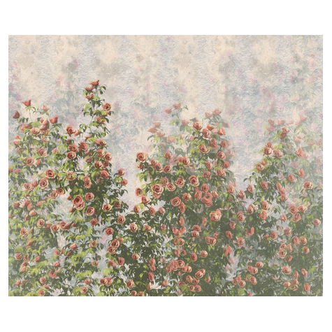 Papier peint photo - wall roses - dimensions 300 x 250 cm