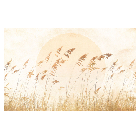 Papier peint photo - dune grass - dimensions 400 x 250 cm