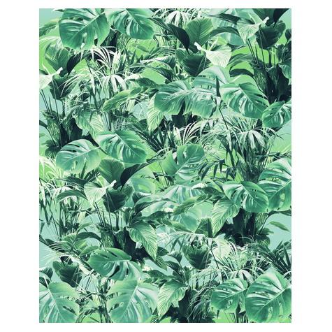 Papier peint photo - evergreen - taille 200 x 250 cm