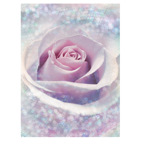Fleece Fotobehang - Delicate Rose - Formaat 200 X 260 Cm