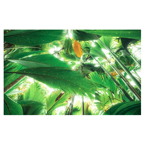 Papier peint photo - toit de la jungle ii - dimensions 450 x 280 cm