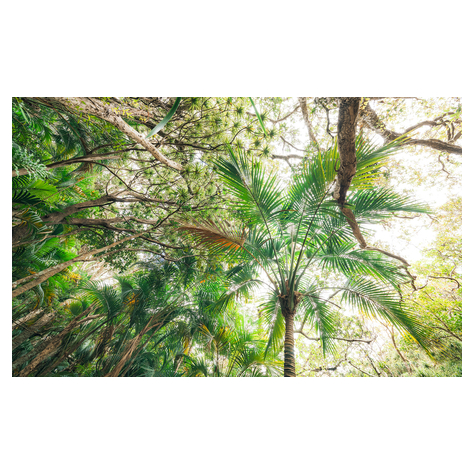 Fleece Fotobehang - Touch The Jungle - Afmeting 450 X 280 Cm