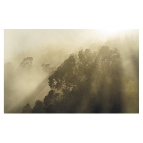 Fleece Fotobehang - Misty Mountain - Formaat 400 X 250 Cm