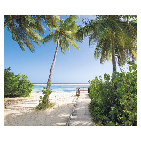 Fotobehang - Palmy Beach - Afmeting 300 X 250 Cm