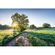 Photomurals  Photo Wallpaper - Meadow Trail - Size 368 X 254 Cm