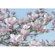 Papier peint photo - magnolia - taille 368 x 254 cm