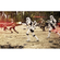 Fleece Fotobehang - Star Wars Imperial Strike - Formaat 400 X 250 Cm