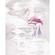 Papier peint photo - flamant rose - dimensions 200 x 250 cm