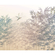 Papier peint photo - bamboo paradise - dimensions 300 x 250 cm
