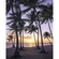 Papier peint photo - palmiers sur la plage - dimensions 200 x 250 cm
